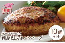 U04-08-01 国産ブランド豚使用！ 乳豚 粗挽きハンバーグ10個 計1.8kg ハンバーグ 国産 豚肉 洋食 ハンバーグ はんばーぐ 冷凍 人気 ハンバーグ おかず 肉 おすすめ ハンバーグ ポークバーグ