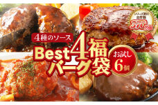 U61-35-02 【シリーズ累計370万個突破！】Best4 ハンバーグ 150g×6個セット お試し ハンバーグ 牛肉 豚肉 洋食 ハンバーグ はんばーぐ 冷凍 人気 ハンバーグ 4種類 手軽 冷凍 900g おすすめ おかず 肉 ハンバーグ お得