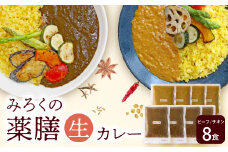 U08-07-01 無添加 みろくの薬膳 生カレー（チキン・ビーフ）各4食 【上野焼チャンス】