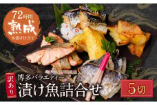 U61-68-01 【8/19寄附額改定】 訳あり 博多バラエティー漬け魚詰合せ 5切 魚 海鮮 魚介 銀鰈 ぎんだら 鮭 さけ 鰆 さわら 鯖 さば 赤魚 あかうお 詰め合わせセット ギフト 贈答 おかず おつまみ 漬け づけ【上野焼チャンス】