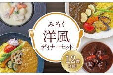 U08-08-01 洋風ディナーセット（12食セット） 洋食 カレー シチュー デミグラス 冷凍 惣菜 簡単 湯煎 便利 ディナー 晩御飯 洋風 簡単調理 ギフト 家族 薬膳 セット 詰め合わせ アソート 【上野焼チャンス】