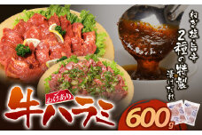 U61-44-01 【訳あり】牛ハラミ肉(旨辛、ねぎ塩) 600g 旨辛 ねぎ塩 牛肉 焼肉 味付け肉 BBQ 簡単 冷凍 家庭用 大人気 コスパ 手軽