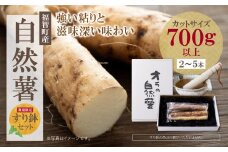 U19-04 オラの自然薯すり鉢セット(カットもの 700g以上) じねんじょ とろろ 山芋 野菜 グルメ 取り寄せ ご当地 特産 産地 直送人気 オススメ