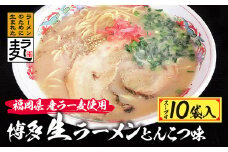 U16-17 福岡県産ラー麦 博多生ラーメンとんこつ味 【上野焼チャンス】