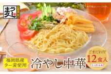 U16-23 【4～8月発送】福岡県産ラー麦 冷し中華（ごまだれ付） 【上野焼チャンス】
