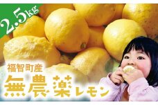 U14-01 福智町産 無農薬 レモン 2.5kg （約16～20個）