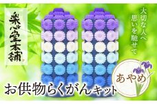 U29-16 お供物らくがんキット・あやめ お盆 お供え お菓子 お供え物 高級 豪華 お供えセット おすすめ お供え セット 飾り ハス 落雁 お供え 法事 【上野焼チャンス】