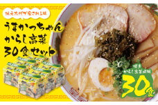 U55-36 うまかっちゃん 豚骨ラーメン＜博多からし高菜風味＞(5袋×6)30食【上野焼チャンス】