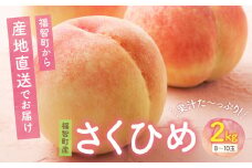 U20-04 【2025年発送】 先行予約！ ハウス桃 さくひめ 約2kg 桃 もも モモ 数量限定 福岡県 福智町産 さくひめ 果実 果物 くだもの フルーツ 産地直送 送料無料 【上野焼チャンス】