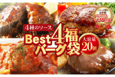 U61-32-01  【8/19寄附額改定】【シリーズ累計370万個突破！】Best4バーグ ハンバーグ 150g×20個セット（合挽4種 各5個）ハンバーグ 牛肉 豚肉 洋食 ハンバーグ はんばーぐ 大容量 冷凍 人気 ハンバーグ 4種類 手軽 冷凍 3kg おすすめ おかず 肉 ハンバーグ お得