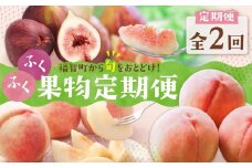 U99-88 【2026年発送】★先行予約受付開始★ ふくふく果実定期便(隔月・年2回) 福岡 福智町 定期便 2回 食べ比べ 果物 フルーツ もも 桃 さくひめ いちじく イチジク とよみつひめ 数量 限定 先行 予約 受付 開始 送料無料