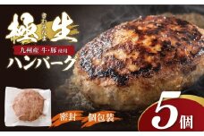 U61-140 極生ハンバーグ 5個セット(150g×5)  ハンバーグ 肉汁 焼くだけ 簡単調理 ごちそう 個包装 ギフト 贈答 牛肉 国産 九州産 和牛 人気 おすすめ 冷凍 ブランド 絶品 高級 高品質 お歳暮 【上野焼チャンス】
