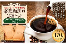 豪華珈琲豆 2種セット ブルーマウンテン100％ ゲイシャ 計2袋 コーヒー