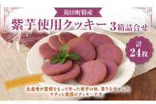 苅田町 特産 紫芋 使用 クッキー 8枚入3箱 詰合せ お菓子 スイーツ