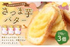 さつま芋 バター 3個 苅田町産 紅はるか 使用 糖度 40%以上