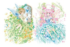イラスト集 2冊セット ( GracefullWings ・花乙女第3集 )
