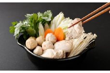 はかた地どり 水炊き ギフト 5～6人前 計2.6kg 地鶏