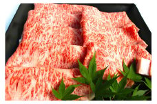 【6ヶ月定期便】堀ちゃん牧場 博多和牛 バラエティ 定期便 ステーキ 焼肉 カレー ハンバーグ ホルモン