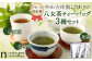【ハラール認証茶】中山吉祥園 こだわりの八女茶ティーバック 3種セット( 朝露 ・ 玄米茶 ・ ほうじ茶 ) 緑茶