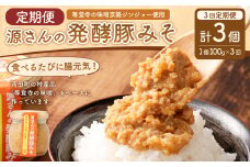 【3ヶ月定期便】源さんの発酵豚みそ 100g×1個 計3個 豚肉 豚 ブタ ぶた 肉 豚味噌 味噌 味噌漬け ミソ漬け 発酵食品 和風 ご飯のお供 調味料 定期便 3回 福岡県 苅田町