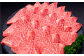 【隔月6回定期便】【訳あり】博多和牛ヒレ焼肉 約600g×1パック 合計3.6kg 訳あり ヒレ 