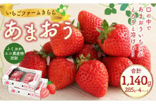 あまおう 約1140g 約285g×4パック いちごファームきらら いちご イチゴ 苺【ふくおかエコ農産物認証】【2026年2月上旬～3月下旬発送予定】