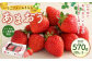 あまおう 約570g 約285g×2パック いちごファームきらら【ふくおかエコ農産物認証】