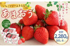 あまおう 約2280g 約285g×8パック いちごファームきらら いちご イチゴ 苺【ふくおかエコ農産物認証】【2026年2月上旬～3月下旬発送予定】