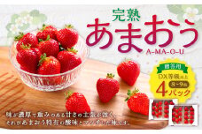 完熟あまおう 贈答用4パック いちご 苺 イチゴ フルーツ 果物 くだもの あまおう ギフト 冷蔵 苅田町 【2026年1月上旬-3月上旬発送予定】
