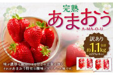 【訳あり】完熟あまおう 4パック いちご 苺 イチゴ フルーツ 果物 くだもの あまおう ギフト 冷蔵 苅田町 【2026年2月上旬-3月上旬発送予定】