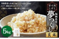 【令和7年産】福岡県産 夢つくし〈千づ乃しずく〉 約5kg 玄米 S003【2025年9月下旬～2026年2月下旬発送予定】 お米 米