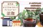 豆乃木オリジナルリキッドアイスコーヒー涼珈（無糖）24本