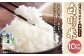 白川米(夢つくし) 合計10kg（5kg×2袋） お米 白米