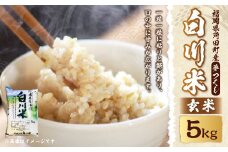 【新米先行予約】白川米 ( 夢つくし ) 玄米 5kg【2025年10月下旬から順次発送予定】