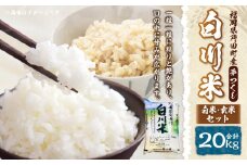 【新米先行予約】白川米 ( 夢つくし )  白米 ・ 玄米 セット 合計20kg お米 精米【2025年10月下旬から順次発送予定】