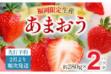 【先行予約2月より順次発送】あまおう グランデサイズ以上 約560g（約280g×2パック） 苺 イチゴ いちご フルーツ 果物 ふるさと納税くだもの ブランド くだもの 福岡県産