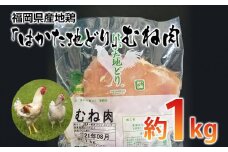 福岡県産地鶏「はかた地どり」むね肉(約1kg)　 お取り寄せグルメ　お取り寄せ 福岡 お土産 九州 ご当地グルメ 福岡土産 取り寄せ 福岡県 食品