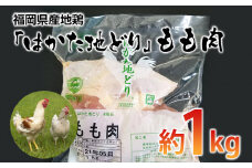 福岡県産地鶏「はかた地どり」もも肉(約1kg) お取り寄せグルメ お取り寄せ 福岡 お土産 九州 ご当地グルメ 福岡土産 取り寄せ 福岡県 食品
