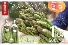 予約受付  アスパラガス 夏芽 M~Lサイズ 1kg（500g×2） 野菜  2025年6月～8月頃に順次発送  福岡県 福岡 九州 グルメ お取り寄せ