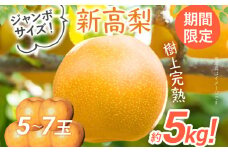 数量限定 新高梨 5～7玉 約5kg 9月中旬～9月下旬に順次出荷予定 農家直送 ジャンボサイズ 樹上完熟 甘い ジューシー フルーツ 果物 果汁 ギフト 福岡県 福岡 九州 グルメ お取り寄せ