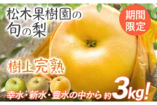 数量限定 旬の梨 約3kg 幸水 豊水 新水 松木果樹園 7月下旬～9月上旬 順次出荷予定 農家直送 樹上完熟 甘い ジューシー フルーツ 果物 果汁 ギフト 福岡県 福岡 九州 グルメ お取り寄せ