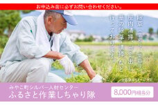 ふるさと作業しちゃり隊（8,000円相当分サービス）