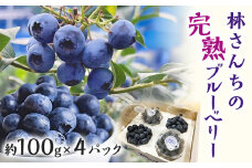 林さんちの完熟ブルーベリー 約100g×4パック 100g ブルーベリー フルーツ 果物 甘い ギフト 贈り物 厳選 オニール トワイライト ユーリカ