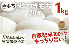 白もち 杵つきもち 20個 1kg  11月上旬頃より順次出荷予定 自家製米 ひよくもち米 杵つき 丸餅 お雑煮 おしるこ 焼き餅 焼きもち ぜんざい 福岡県 福岡 九州 グルメ お取り寄せ