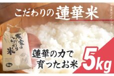 米 5kg すぐ届く 数量限定 こだわりの蓮華米 れんげ米 農家直送 白米 国産米 国産 おにぎり お弁当 朝ごはん 軽食 間食 おやつ 福岡県 福岡 九州 グルメ お取り寄せ
