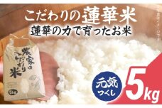 【10/1～寄附額改定】 先行予約 米 5kg 元気つくし 数量限定 こだわりの蓮華米 精米 農家直送 蓮華米 白米 国産米 国産 おにぎり お弁当 福岡県 福岡 九州 グルメ お取り寄せ【10月上旬より順次出荷予定】