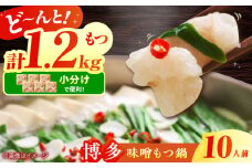博多 味噌 もつ鍋 10人前セット 吉富町/株式会社MEAT PLUS [BGAB005] もつ鍋 もつなべ モツ鍋 もつ鍋セット 味噌 みそ 冷凍 福岡 博多