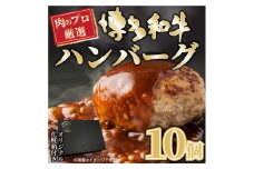お肉屋さんの手ごねハンバーグ10個/博多和牛 入り 吉富町/株式会社MEAT PLUS [BGAB010]