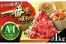 【A4〜A5】博多和牛 切り落とし 1kg (500g×2P) 吉富町/株式会社MEAT PLUS [BGAB066] ビーフ お肉 牛肉 和牛 赤身 薄切り スライス 1kg 国産 牛肉 切り落とし きりおとし 冷凍 小分け ギフト 福岡