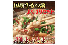 【国産牛欲張りもつ鍋セット】醤油味&みそ味各2人前(計4人前)〆はマルゴめん 吉富町/株式会社マル五 [BGAC021] 福岡県